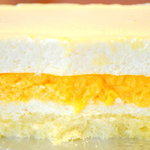 코이와이노우죠 사이로 킷사시츠 - レアチーズケーキ断面