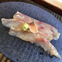 緒方 - 