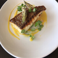 THE COSMOPOLITAN GRILL BAR TERRACE - 