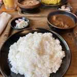 チキンカレー大盛 税込1100円