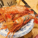 うを徳 - 羽幌産　牡丹海老