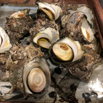 うを徳 - さざえさん