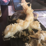 つくつくぼうし - 