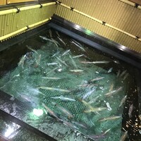 博多料亭 稚加榮 - 