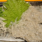 漁菜献舗 鳥新 - 2012.6.22)生しらすお造り（４８０円）