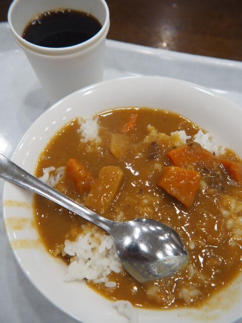 Toyoko Inn Kyoto Shijo Omiya