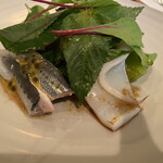 シャントレル - 