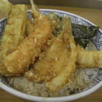 Tempura Tensaku - 