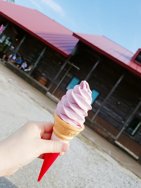 サンマモルワイナリー - 大湊（バー）の写真