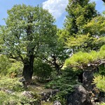 染地台 藪蕎麦 - お庭