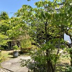 染地台 藪蕎麦 - お庭