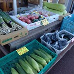 岬の市場 - 地物野菜！