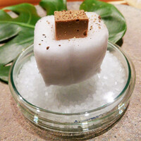 シブ ニシナカス - 