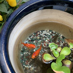 太宝家 - 入口の前の、睡蓮鉢で泳ぐ金魚が夏の香り...