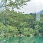 道の駅　いりひろせ - 店内のご紹介です⑩（6/23UP）