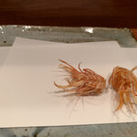 天冨良 よこ田 - 