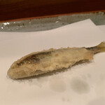 天冨良 よこ田 - 