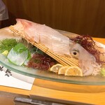 海の見えるカウンター寿司 鮨屋台 - 