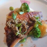 Bistro Sifflet - ホウボウのポワレ アンチョビとブラックペッパーのソース✨