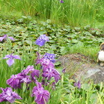 もり珈琲店 - akiiさん・・・たぬきには触れませんでした・・・（やっぱりぬかってました・・・笑汗）