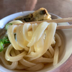 手打うどん たむら - 