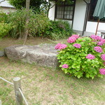 もり珈琲店 - 菖蒲からあじさいの季節へ・・・