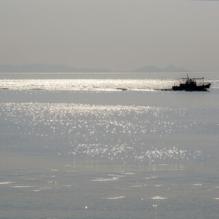 日本海小浜から毎朝直送される「地魚」を自慢のお造りや魚串で。