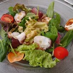Plate Cafe L'isola - 