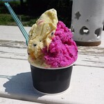 イスキア ジェラテリア みどりちゃん - 料理写真:パッションフルーツ　沖縄ドラゴンフルーツ