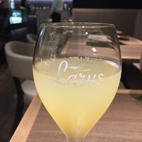 ダルマット 六本木ヒルズ店 - 