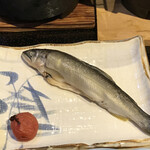 温泉民宿大村屋 田辺市その他 旅館 食べログ