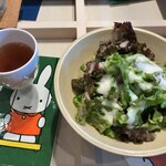 ディック・ブルーナ テーブル - サラダ