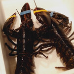 ベンジャミンステーキハウス - 