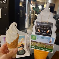 ザ　ジュエルズ - 