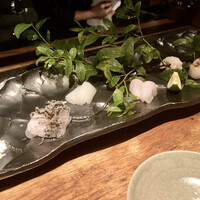 大どころ - ○お造り:石垣鯛、槍烏賊、瘤鯛、真魚鰹、鰆炙り様