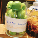 自然派レモネード専門店 さとうｔｏれもん - 