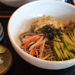 サラセン人の麦 - 冷やしたぬき(十割田舎蕎麦で)900円+100円
