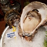 Oyster Bar ジャックポット - 