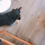 北町食堂 ひなたぼっこ - 