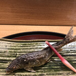 日本料理 太月 - ランチコース１６５００円。長良川天然鮎の塩焼き。今期３度目の味わいです。今回のものも、６月のものより美味しかったです（╹◡╹）（╹◡╹）