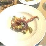 La Brianza - ケンサキイカとゴーヤのフリット。たぶん紫玉ねぎのソースかなと思うそのソースがフリットにとても合っておいしい。ほどよくさっぱり感が加わって、イカもゴーヤもますますおいしくなっていただけました。
