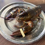 レッドロブスター ユニバーサル・シティウォーク大阪店 - ロブスター