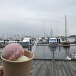 自家製アイスクリーム イケダヤ - 