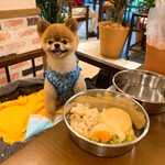 Le Chien Kyu Karuizawa