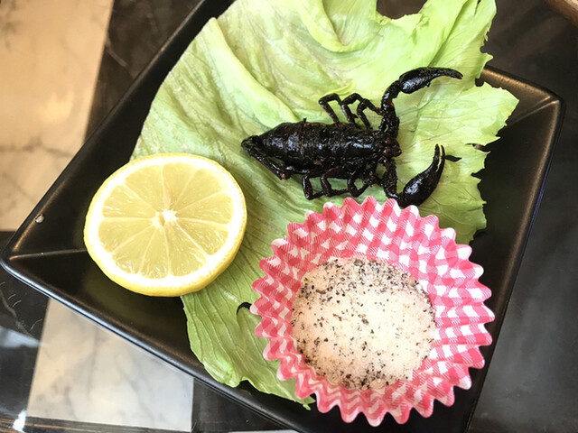 カフェ 爬虫類 【日本全国の一覧あり】可愛い爬虫類と触れ合いたい！爬虫類カフェまとめ