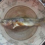 こいで - 天然イワナの骨酒