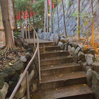 山の茶屋 - 