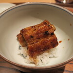 岡山児島湾海鰻