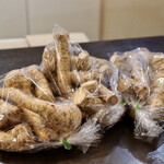 ルッカ - 北海道江別市産の山わさびが大量入荷