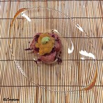 御料理 寺沢 - いわて牛と生海胆